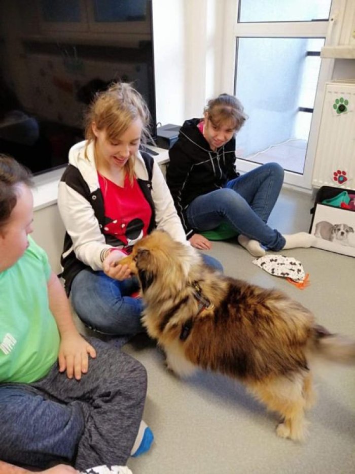 Uczennica nagradza pa smaczkami.