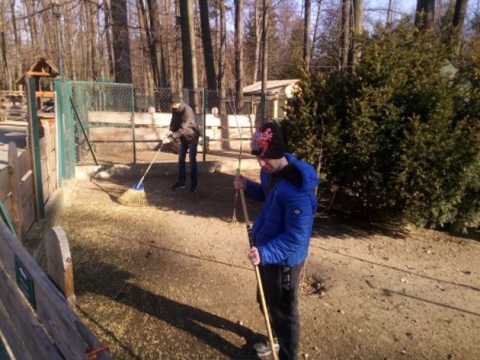 Uczniwoie grabią liście w obejściu dla zwierząt.