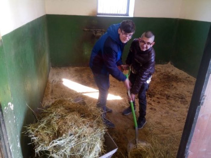 Uczniowie porządkują boksy, w których znajdują się zwierzęta.